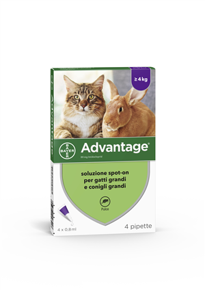 ADVANTAGE*4PIP 0,8ML SPOTON - Parafarmacia Mostacciano
