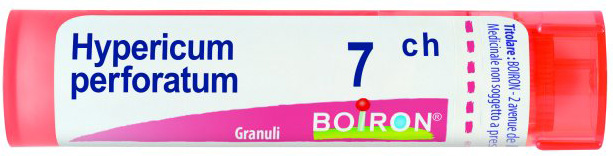 HYPERICUM PERFORATUM 7 CH GRANULI - Parafarmacia Mostacciano