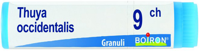 THUYA OCCIDENTALIS 9 CH GLOBULI - Parafarmacia Mostacciano
