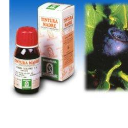 MIRTILLO 31 50ML TM - Parafarmacia Mostacciano