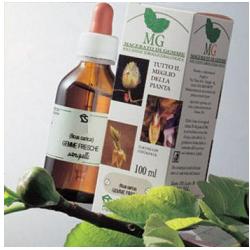 BETULLA 100ML MG - Parafarmacia Mostacciano