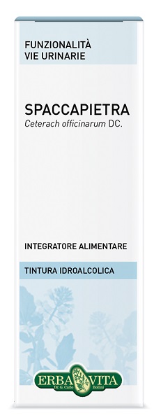 SPACCAPIETRA TINTURA IDROALCOLICA 50 ML EBV - Parafarmacia Mostacciano