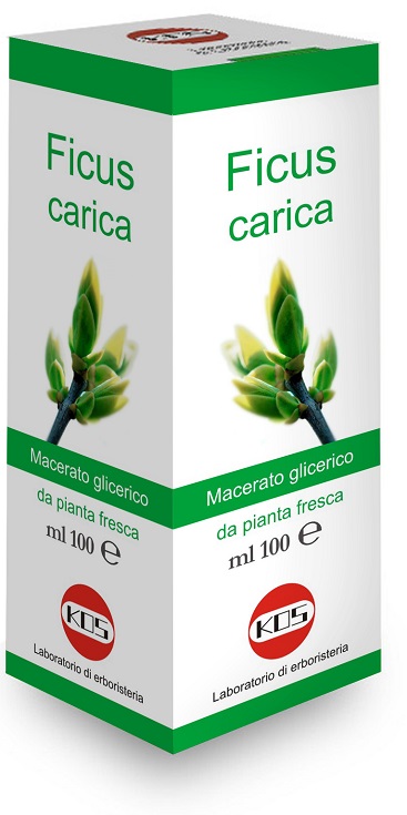 FICUS CARICA MG 100 ML GOCCE - Parafarmacia Mostacciano