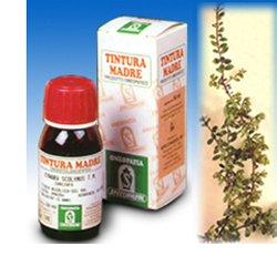 UVA URSINA 30 50ML TM - Parafarmacia Mostacciano