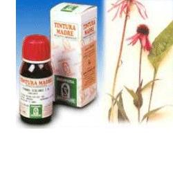 ECHINACEA 59 50ML TM - Parafarmacia Mostacciano