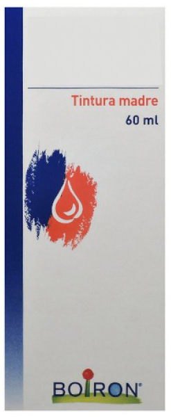 THUYA OCCIDENTALIS TINTURA MADRE 60 ML - Parafarmacia Mostacciano