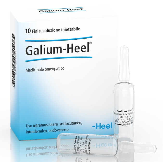 HEEL GALIUM 10 FIALE DA 1,1 ML L'UNA - Parafarmacia Mostacciano