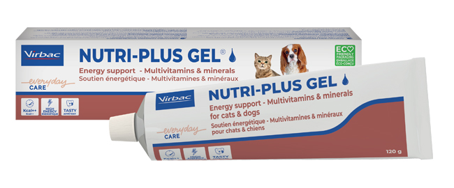 NUTRIPLUS GEL PASTA ORALE 120 G - Parafarmacia Mostacciano