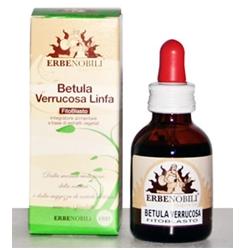 FITOBLASTO BETULLA VERRUCOSA LINFA 50 ML - Parafarmacia Mostacciano
