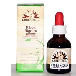 FITOBLASTO RIBES NIGRUM 50 ML - Parafarmacia Mostacciano