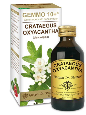 GEMMO 10+ BIANCOSPINO LIQUIDO ANALCOLICO 100 ML - Parafarmacia Mostacciano