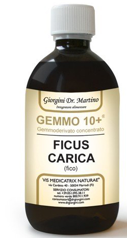 GEMMO 10+ FICO LIQUIDO ANALCOLICO 500 ML - Parafarmacia Mostacciano