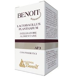 BENOIT LACTOBACILLUS PLANTHARUM 30 CAPSULE - Parafarmacia Mostacciano