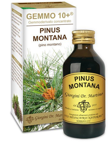 GEMMO 10+ PINO MONTANO 100 ML LIQUIDO ANALCOLICO - Parafarmacia Mostacciano