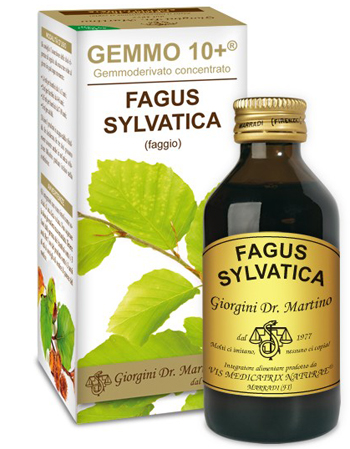 GEMMO 10+ FAGGIO 100 ML LIQUIDO ANALCOLICO - Parafarmacia Mostacciano