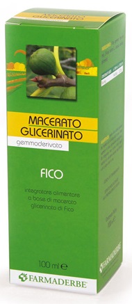 MACERATO GLICERICO FICO GEMME FICUS CARICA 100 ML - Parafarmacia Mostacciano