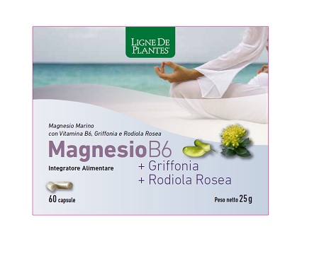 MAGNESIO B6 + GRIFFONIA + RODIOLA 60 CAPSULE - Parafarmacia Mostacciano