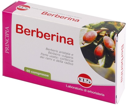 BERBERINA DA BERBERIS VULGARIS ESTRATTO SECCO 60 COMPRESSE - Parafarmacia Mostacciano