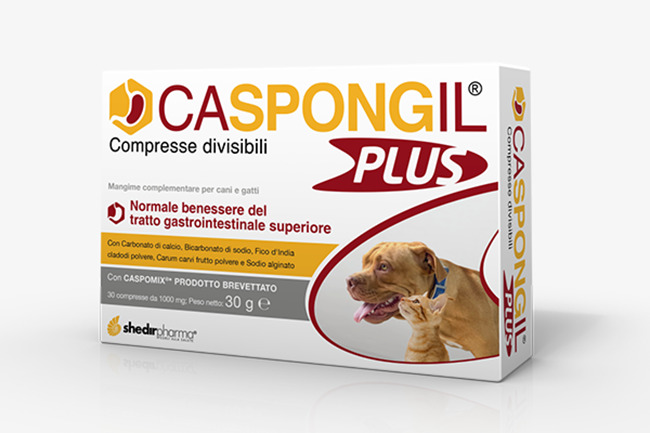 CASPONGIL PLUS 30 COMPRESSE - Parafarmacia Mostacciano
