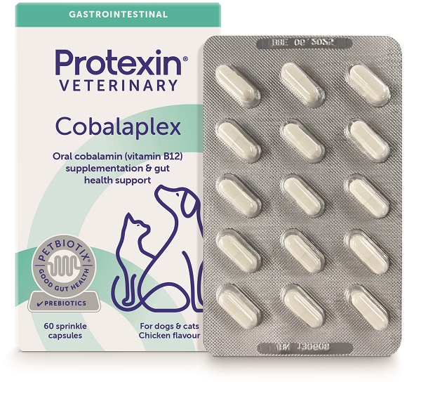 COBALAPLEX 60 CAPSULE - Parafarmacia Mostacciano