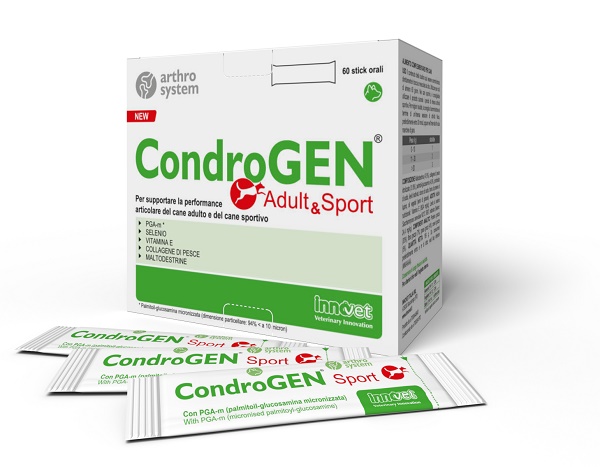 CONDROGEN ADULT&SPORT 60 STICK - Parafarmacia Mostacciano