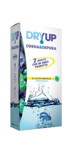 DRYUP MIRTILLO 300 ML - Parafarmacia Mostacciano