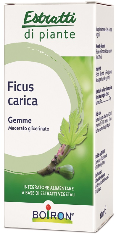 FICUS CARICA GEMME MACERATO GLICERINATO 60 ML INT - Parafarmacia Mostacciano