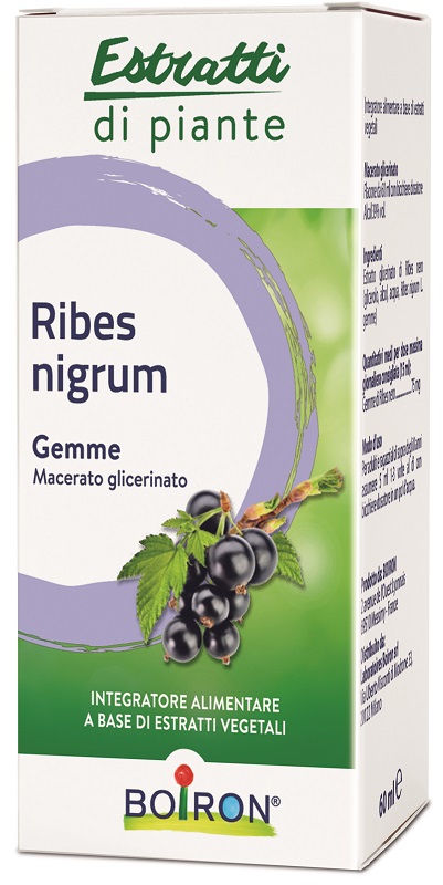 RIBES NIGRUM MACERATO GLICERICO 60 ML INT - Parafarmacia Mostacciano