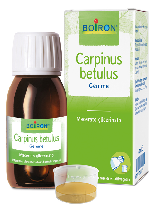 CARPINUS BETULUS MACERATO GLICERICO 60 ML INT - Parafarmacia Mostacciano