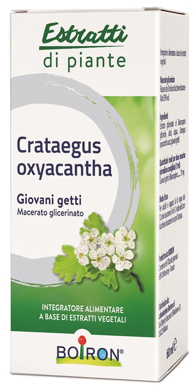 CRATAEGUS OXYACANTHA MACERATO GLICERICO 60 ML INT - Parafarmacia Mostacciano
