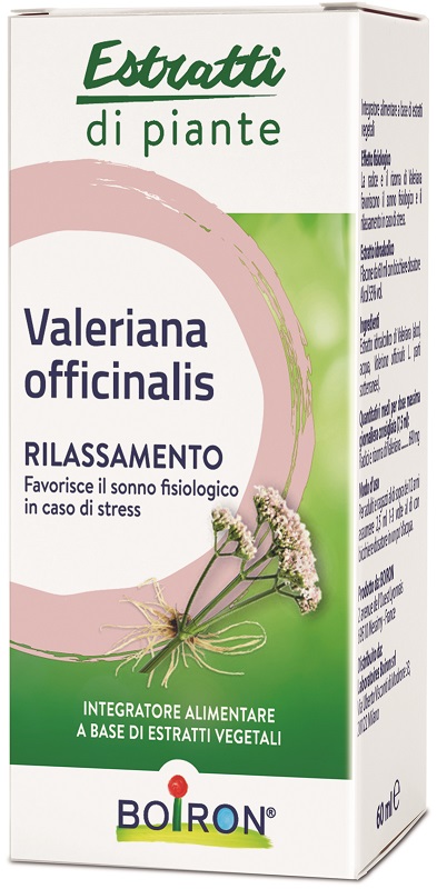 VALERIANA OFFICINALIS ESTRATTO IDROALCOLICO 60 ML INT - Parafarmacia Mostacciano