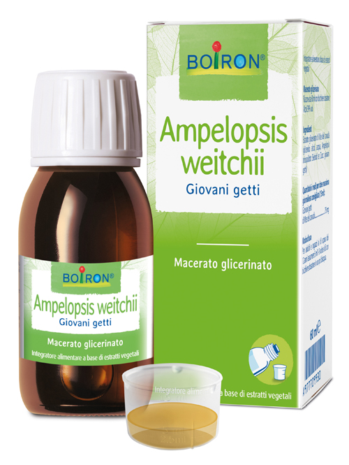 AMPELOPSIS WEITCHII MACERATO GLICERICO 60 ML INT - Parafarmacia Mostacciano