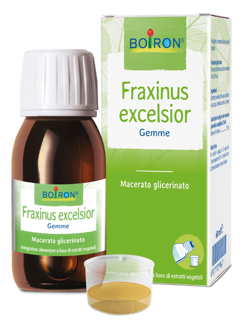 FRAXINUS EXCELSIOR MACERATO GLICERICO 60 ML INT - Parafarmacia Mostacciano