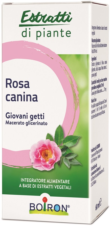 ROSA CANINA MACERATO GLICERICO 60 ML INT - Parafarmacia Mostacciano