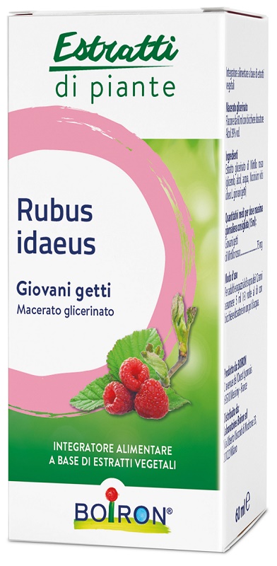 RUBUS IDAEUS GIOVANI GETTI ESTRATTO IDROALCOLICO 60 ML - Parafarmacia Mostacciano