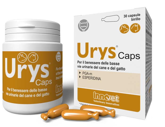 URYS CAPS 30 CAPSULE - Parafarmacia Mostacciano