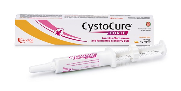CYSTOCURE FORTE PASTA 15 ML - Parafarmacia Mostacciano