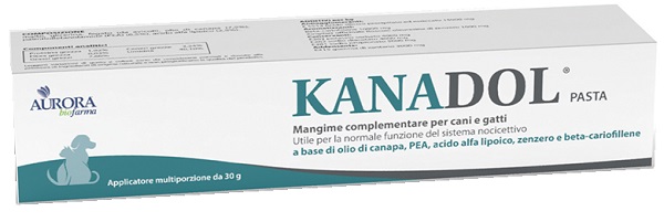 KANADOL PASTA 30 G - Parafarmacia Mostacciano