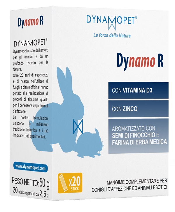 DYNAMO R 20 STICK DA 2,5 G - Parafarmacia Mostacciano